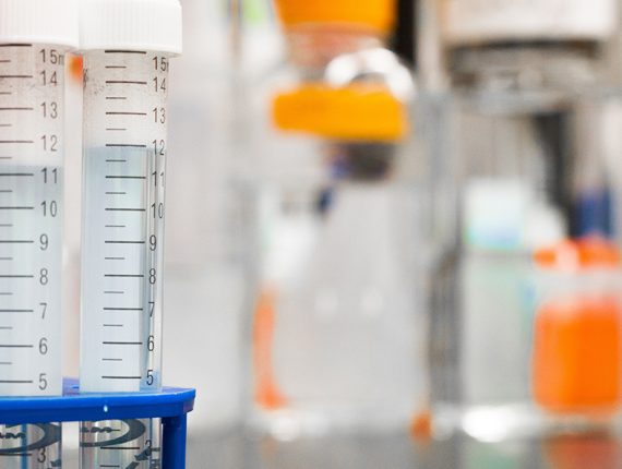 two test tubes in a rack